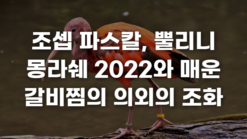 조셉 파스칼 사진 1