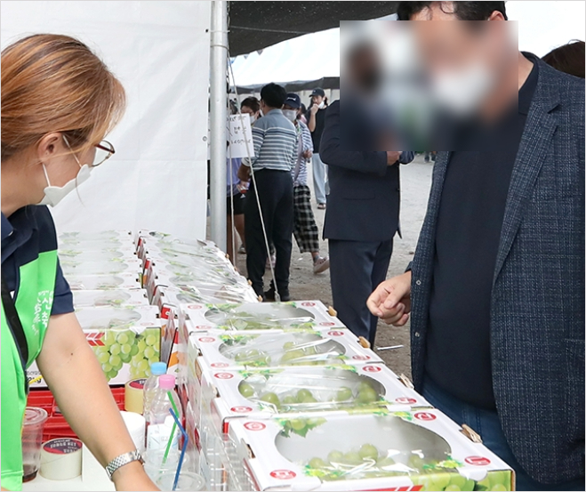 2024년 화성 송산 포도축제 일정