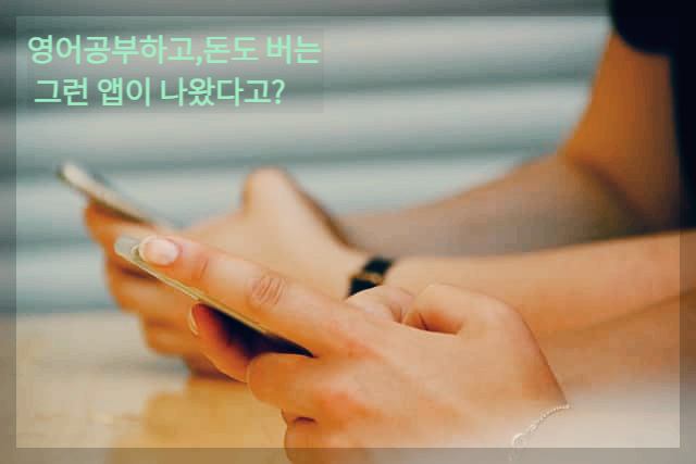 영어공부하고 돈버는 똑똑보카