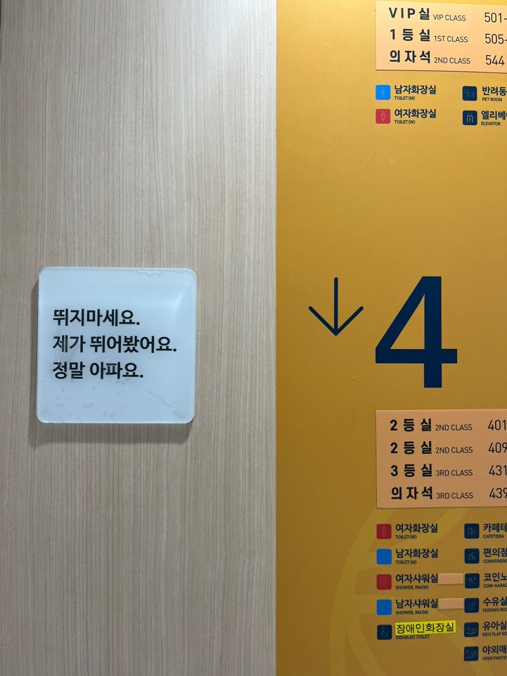 울릉도 여행 준비