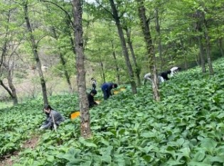 임업 직불금 신청 방법 관련 사진