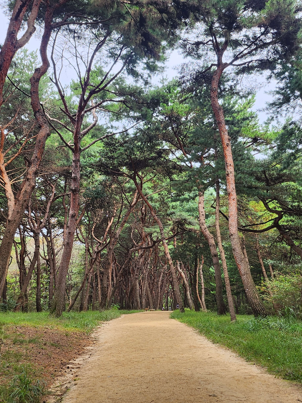 융건릉