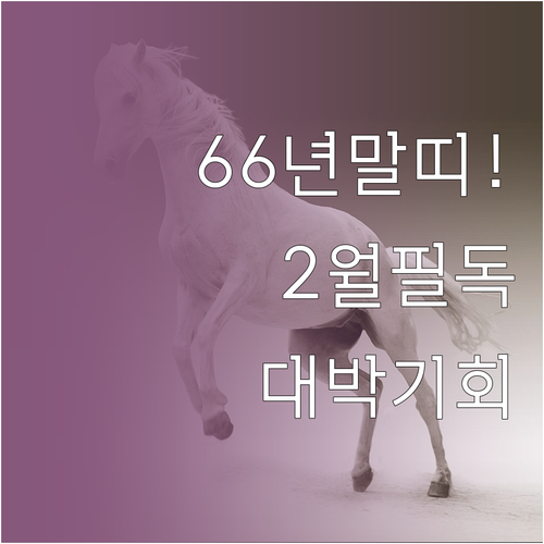 2월 1966년생 말띠 운세 실천 리..