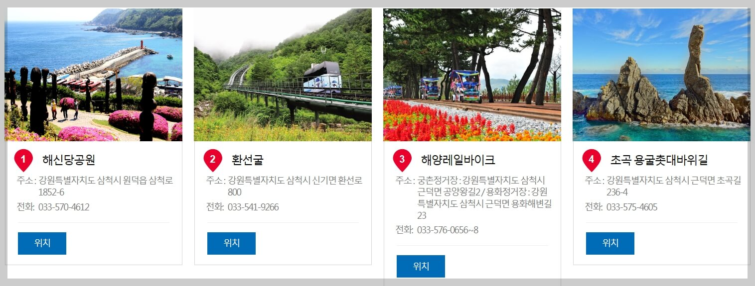 삼척장미축제 일정 주차정보 행사내용 주변관광지[총정리]