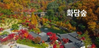 화담숲 예약하기 예약 방법 입장료 모노레일_33