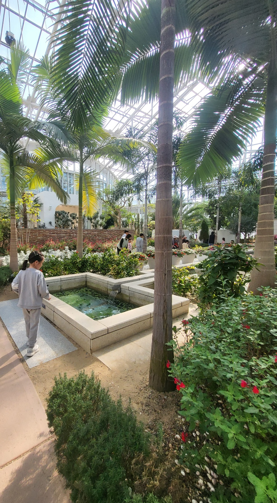 세종 아이와 가볼 만 한 곳 (세종수목원)