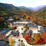 지리산 둘레길 오미-용두갈림길-상사마을-지리산탐방안내소-수한마을-방광 코스 소개-8