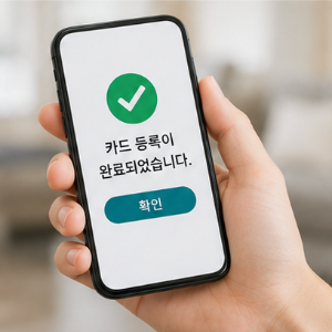 모두의 카드 플러스형 일반형 선택 전 확인사항