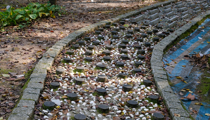 상소동 산림욕장