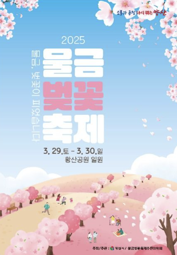 물금 벚꽃 축제