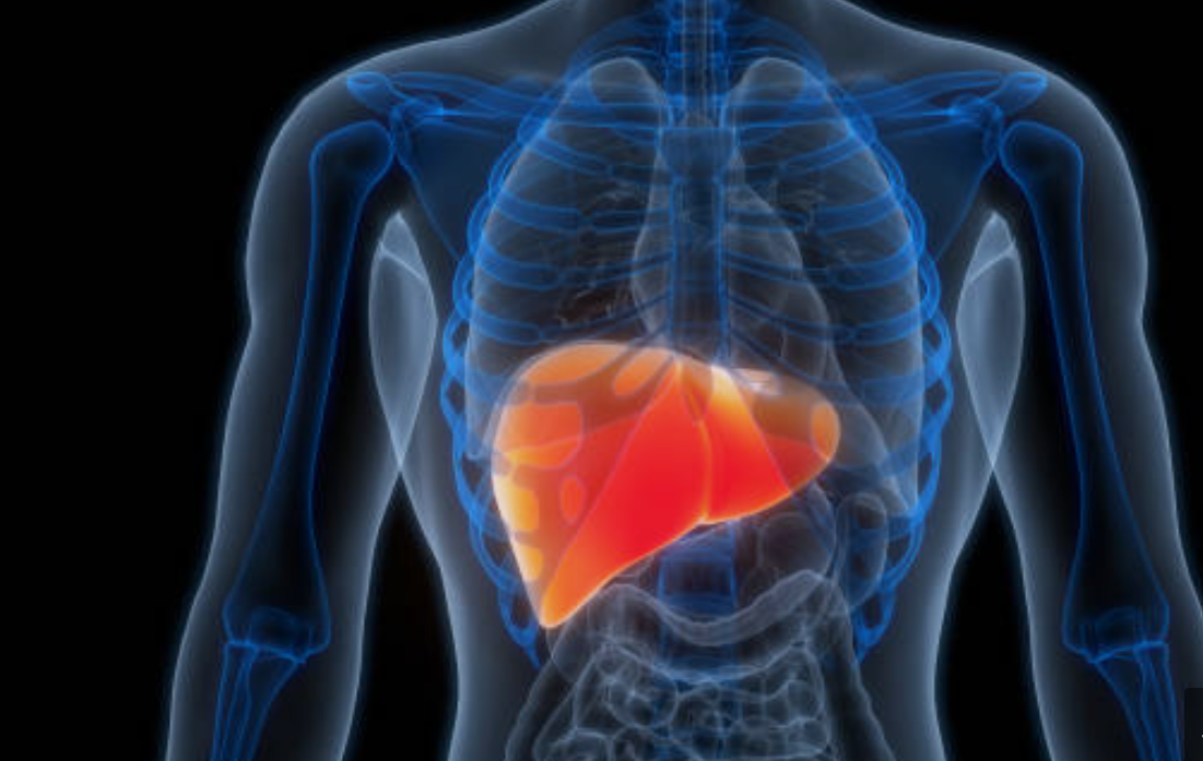 간암과 관련된 사진