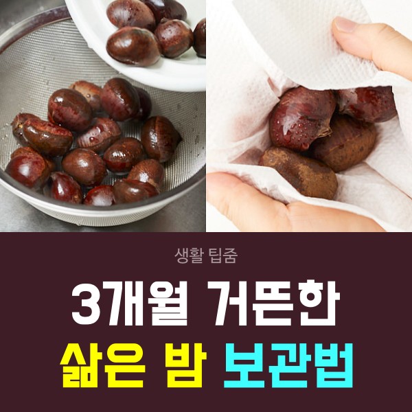 삶은밤 보관법, 밤 맛있게 삶는법