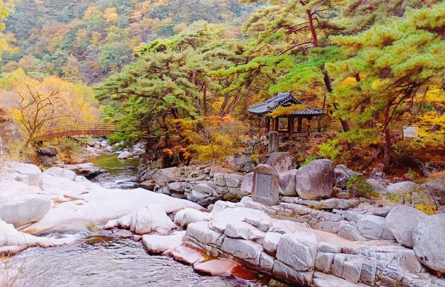 가야산 단풍