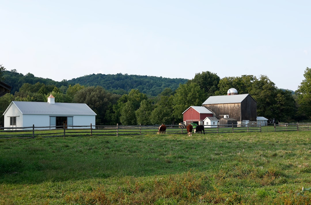 Farmland