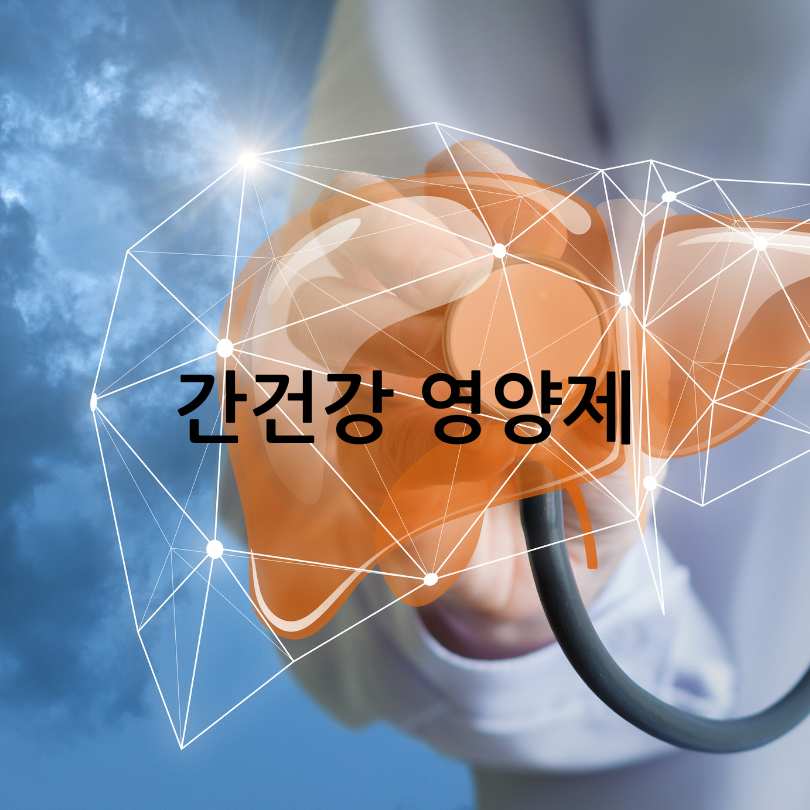 간에좋은영양제