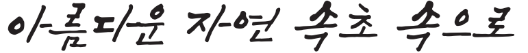 속초바다 손글씨체