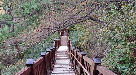 마산 벚꽃 명소