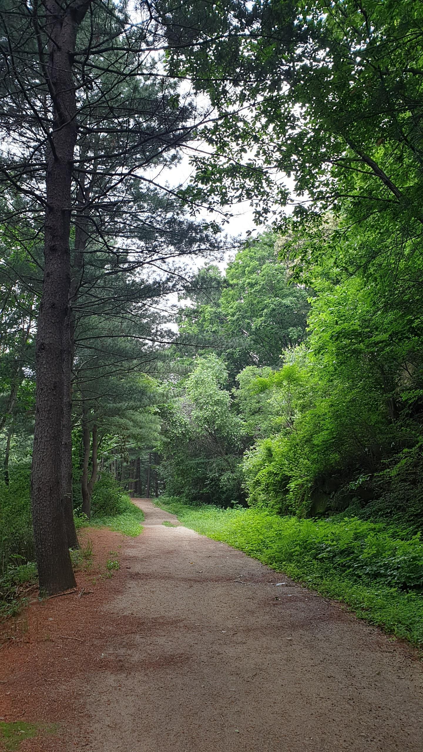 유명산자연휴양림