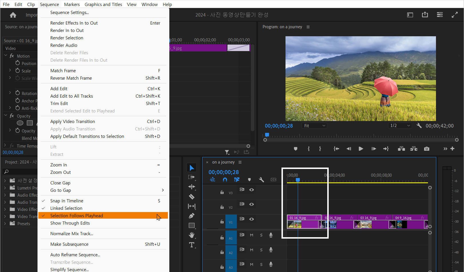 selection follows playhead