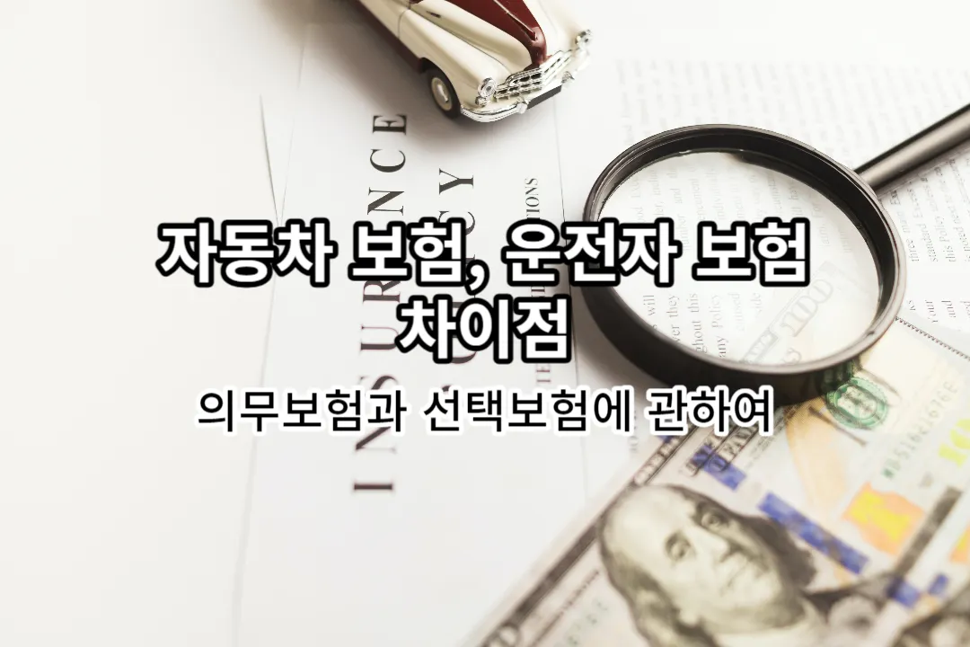 자동차 보험 운전자 보험 차이점
