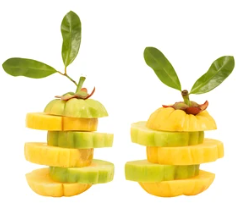 가르시니아 효과 