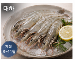 전남 여수 제철 수산물 재근호