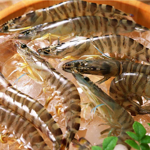 보리새우의 효능과 요리법&amp;#44; 부작용 알아보기