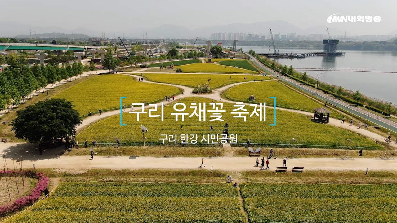 구리 유채꽃 축제 2025 일정·주차·가수 총정리