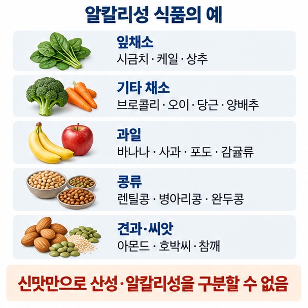 잎채소 기타 채소 과일 콩류 견과 씨앗류 등 흔히 알칼리성 식품으로 분류되는 식품군과 대표 예시를 정리한 이미지