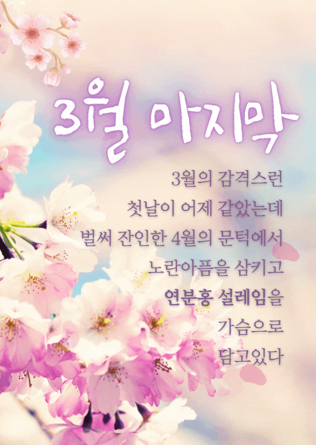 3월의 끝자락에서 벚꽃과 봄을 느끼며 인사를 전하는 감동 시 이미지