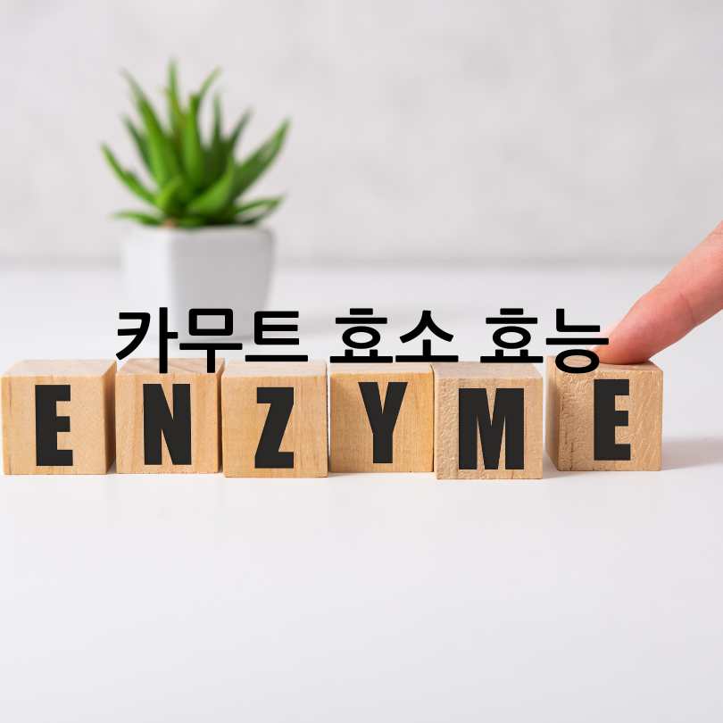 카무트와 카무트 효소 비교