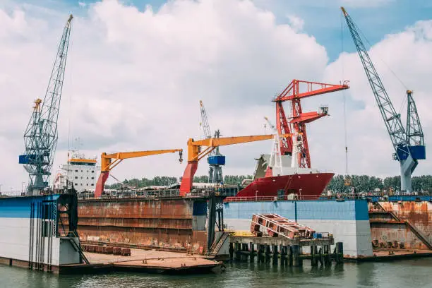 조선기자채 관련주 수혜주