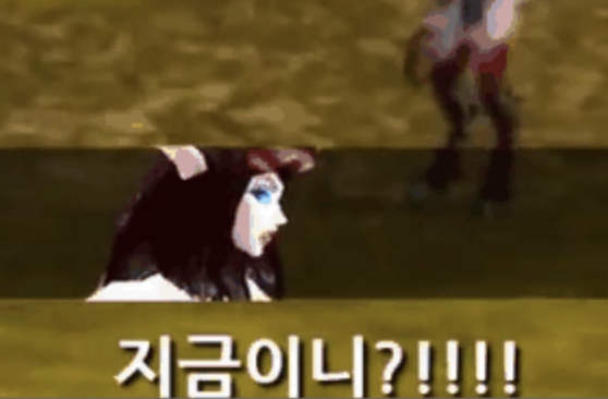 지금이니 짤