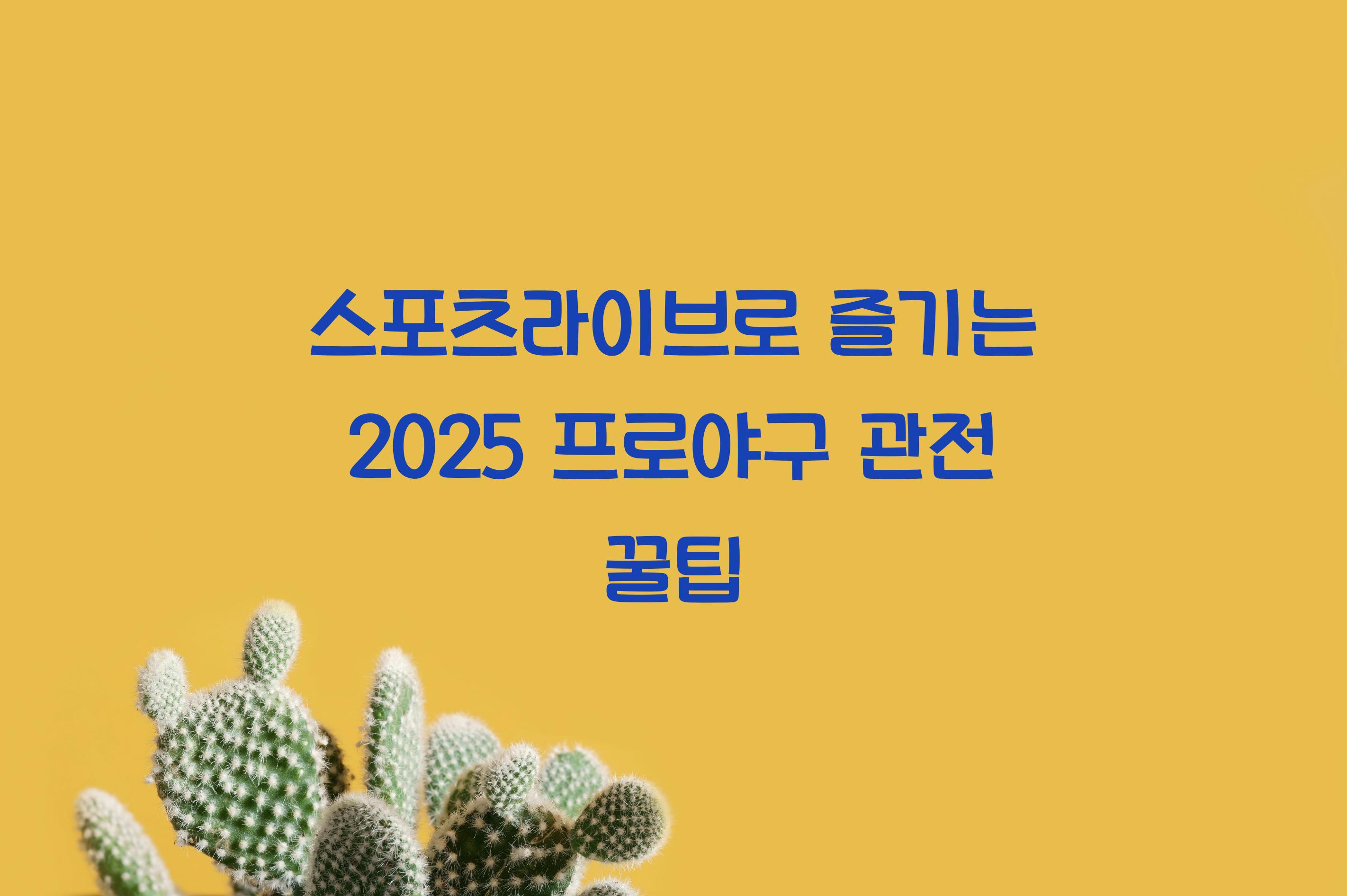 스포츠라이브