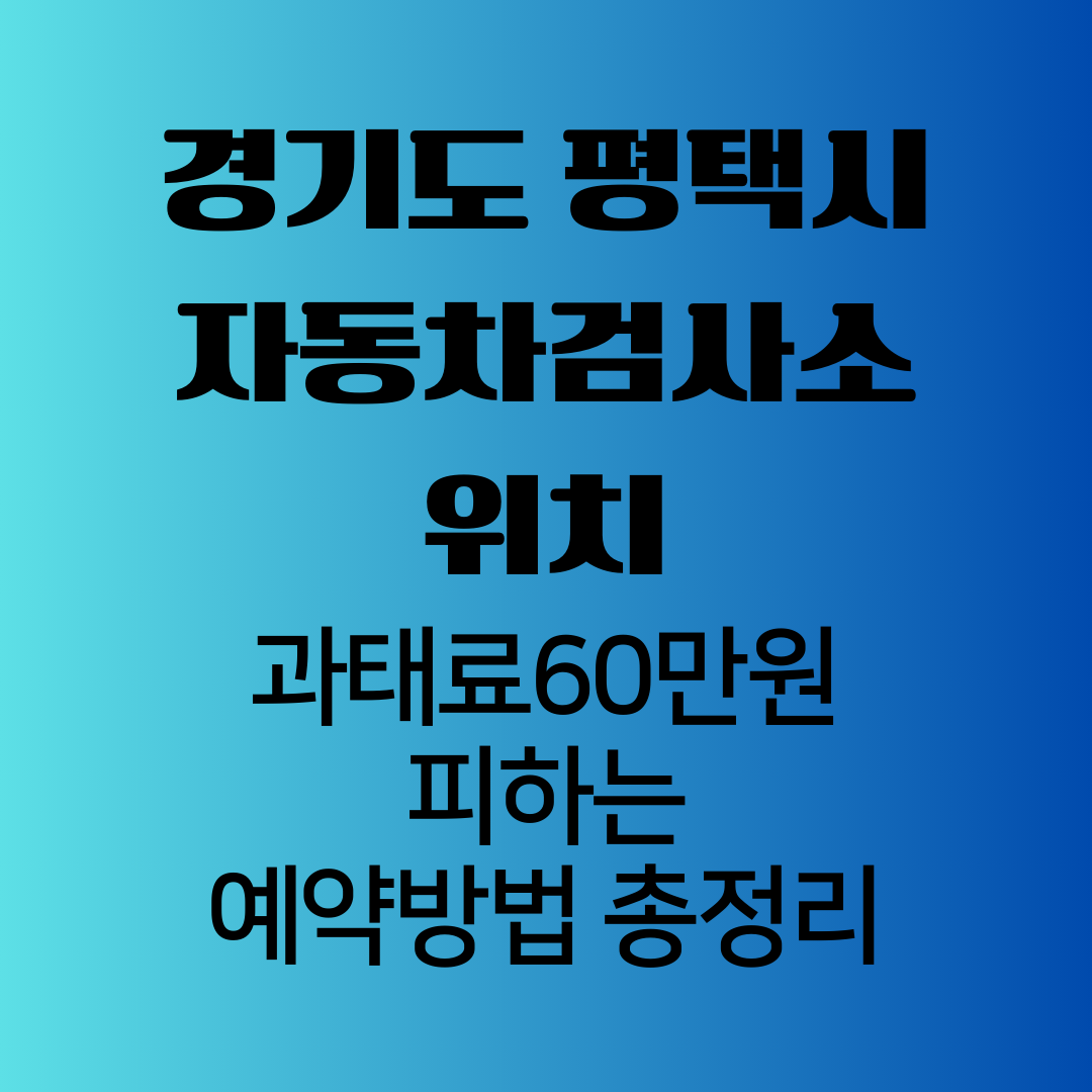 경기도평택시자동차검사소위치