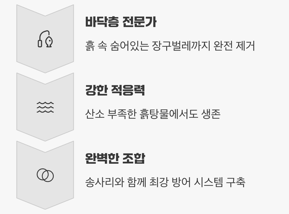 바닥 청소의 달인, 미꾸라지