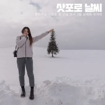삿포로 날씨 여행 삿포로 지도 꿀팁 정리_5