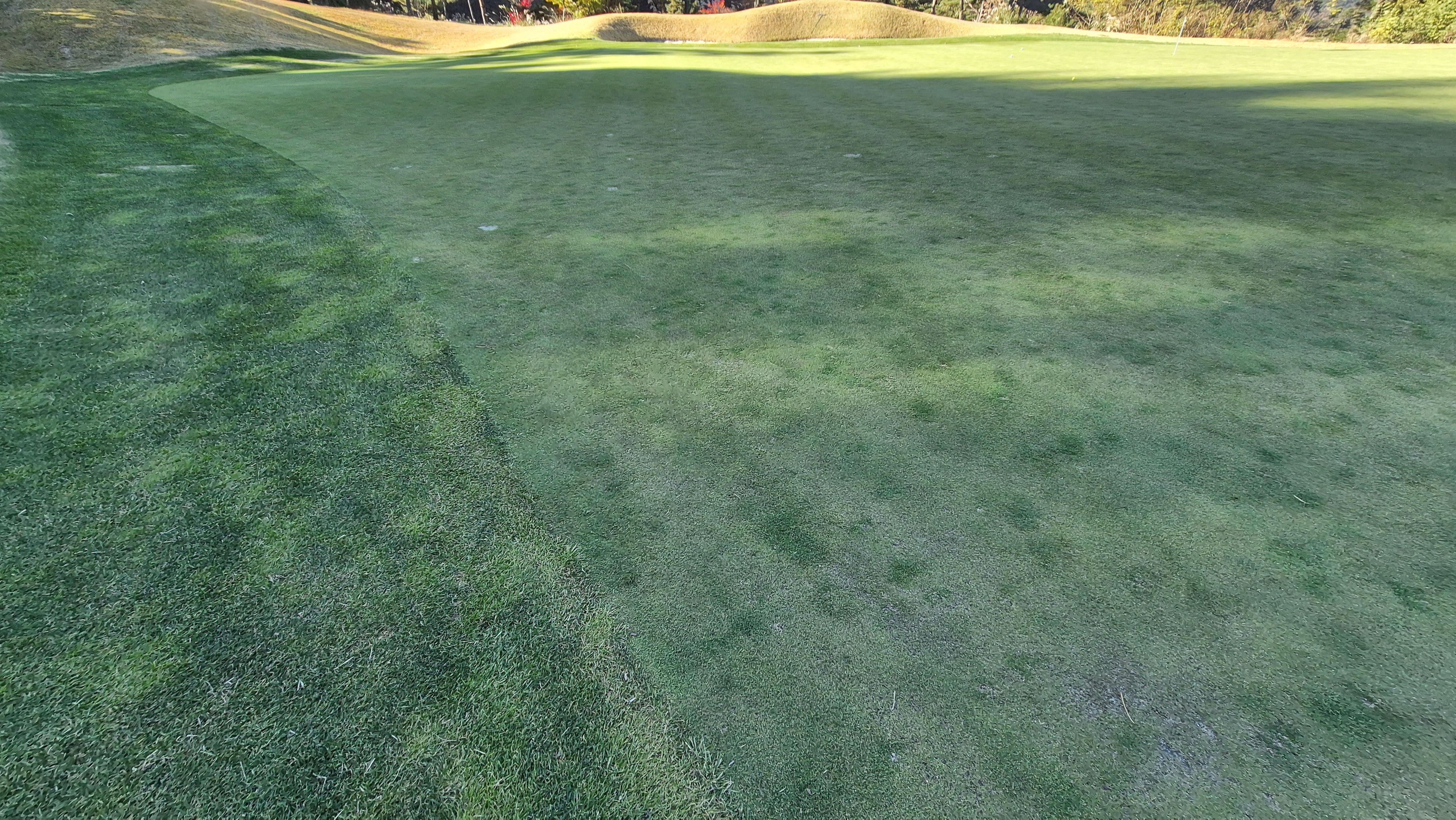 레이캐슬cc 그린관리상태