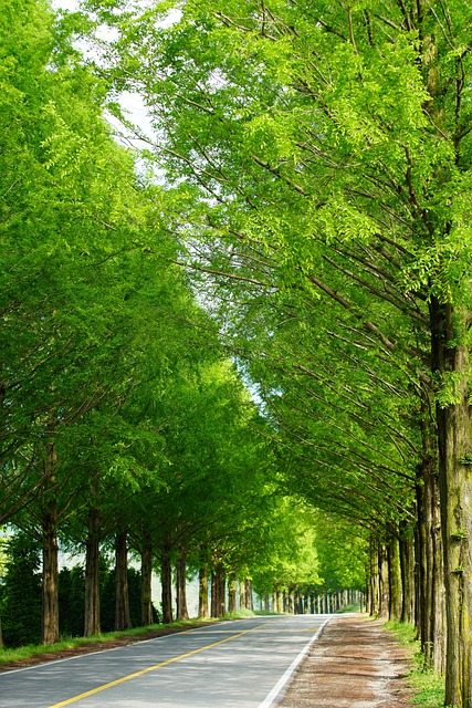 어디로든 그린카드