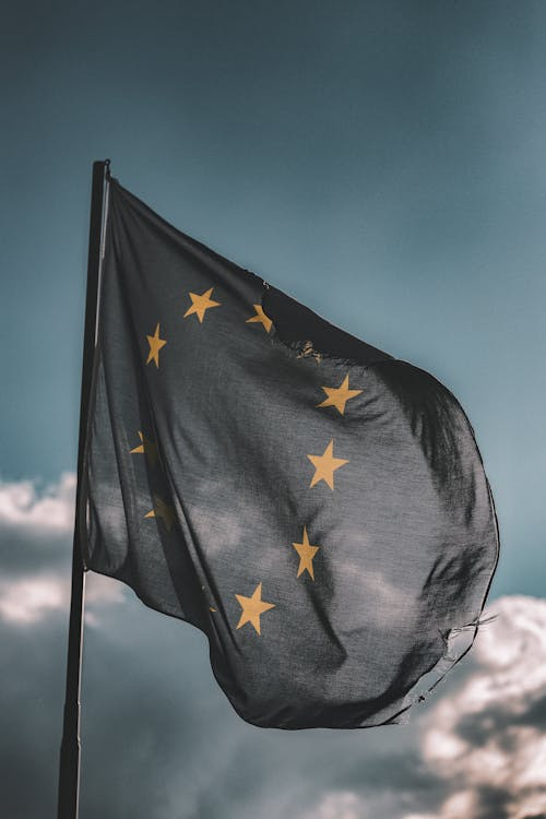 EU 식용 곤충 인증 절차 완전 해부: 노블푸드 등록부터 통관까지