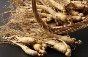 산양삼/출처:어도비스톡