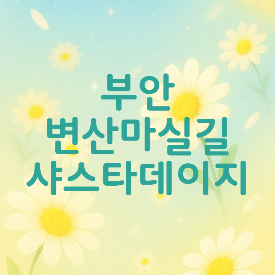 부안 변산 마실길 샤스타데이지