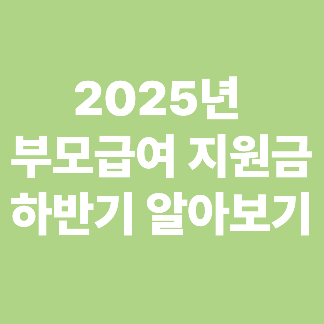 2025년 부모급여 지원금, 하반기 알아보기