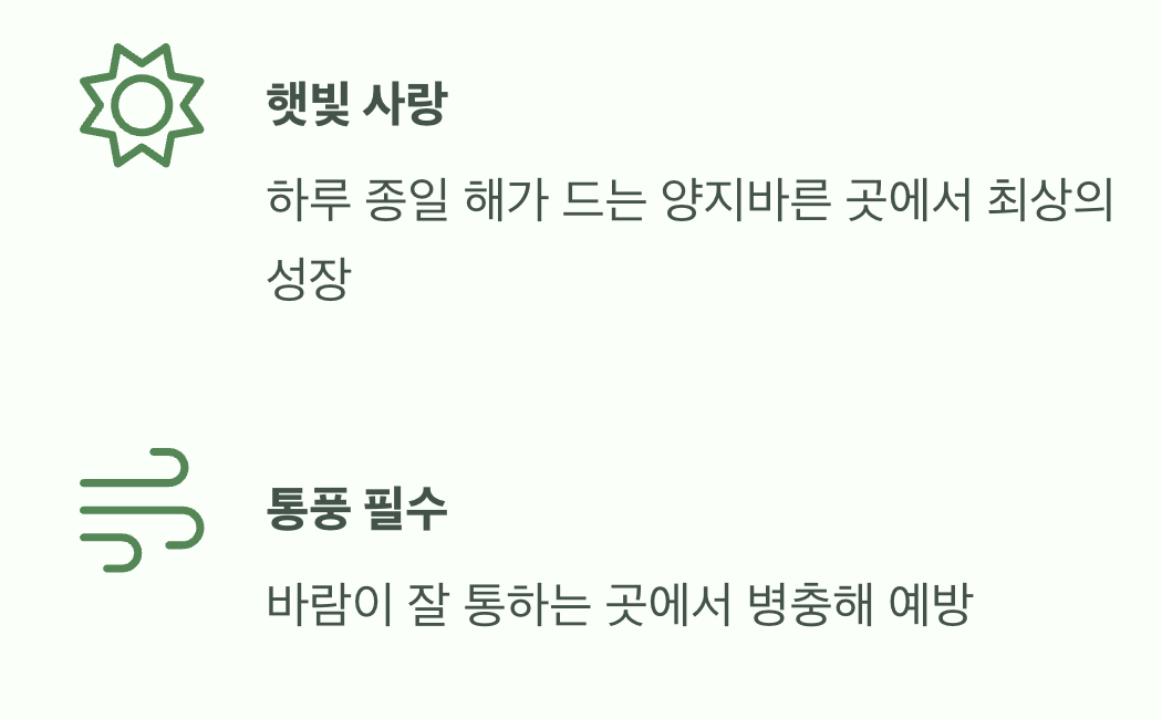 햇빛과 바람&amp;#44; 최고의 보약