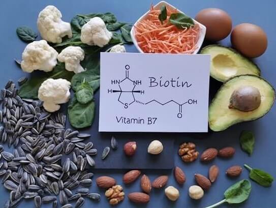 비오틴 풍분한 식품