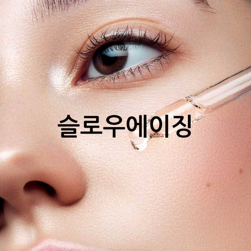 항산화영양제