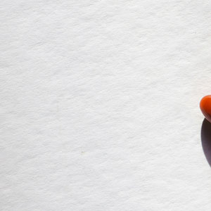 빈혈에 좋은 영양제 - 철분 보충제