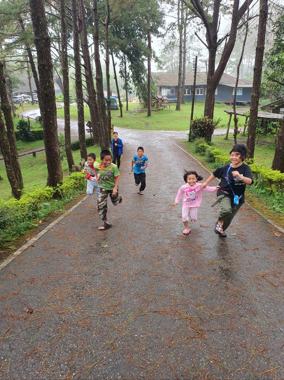 무궁화 꽃이 피웠습니다. 놀이하는 사진