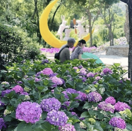 진주 월아산 수국축제