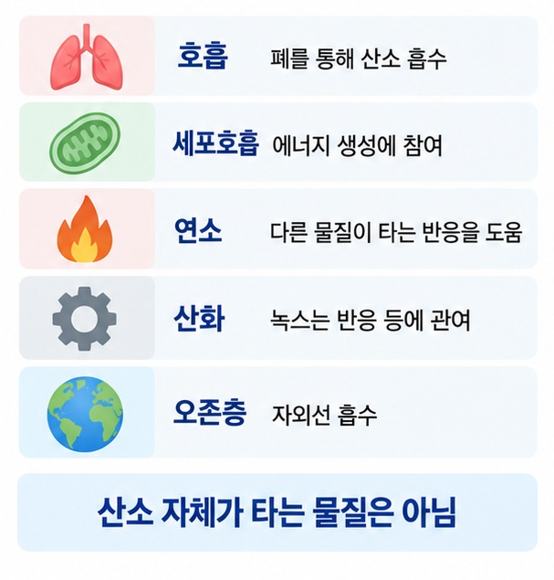 산소가 호흡 세포호흡 연소 산화 오존층에서 어떤 역할을 하는지 정리한 이미지